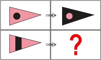 BİLSEM Benzeşim sorusu örneği
